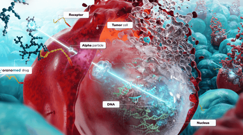 Targeted Alpha Therapy with Lead-212 against Cancer