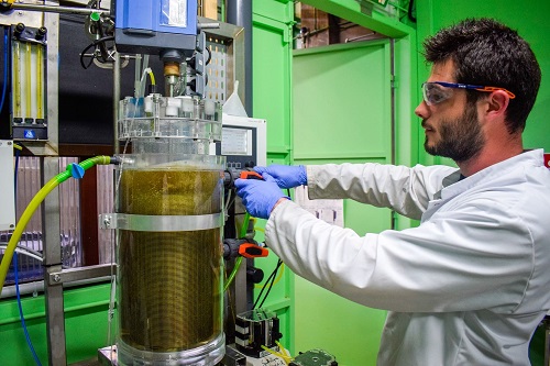 Biotechnology: Biological Transformation of Matter